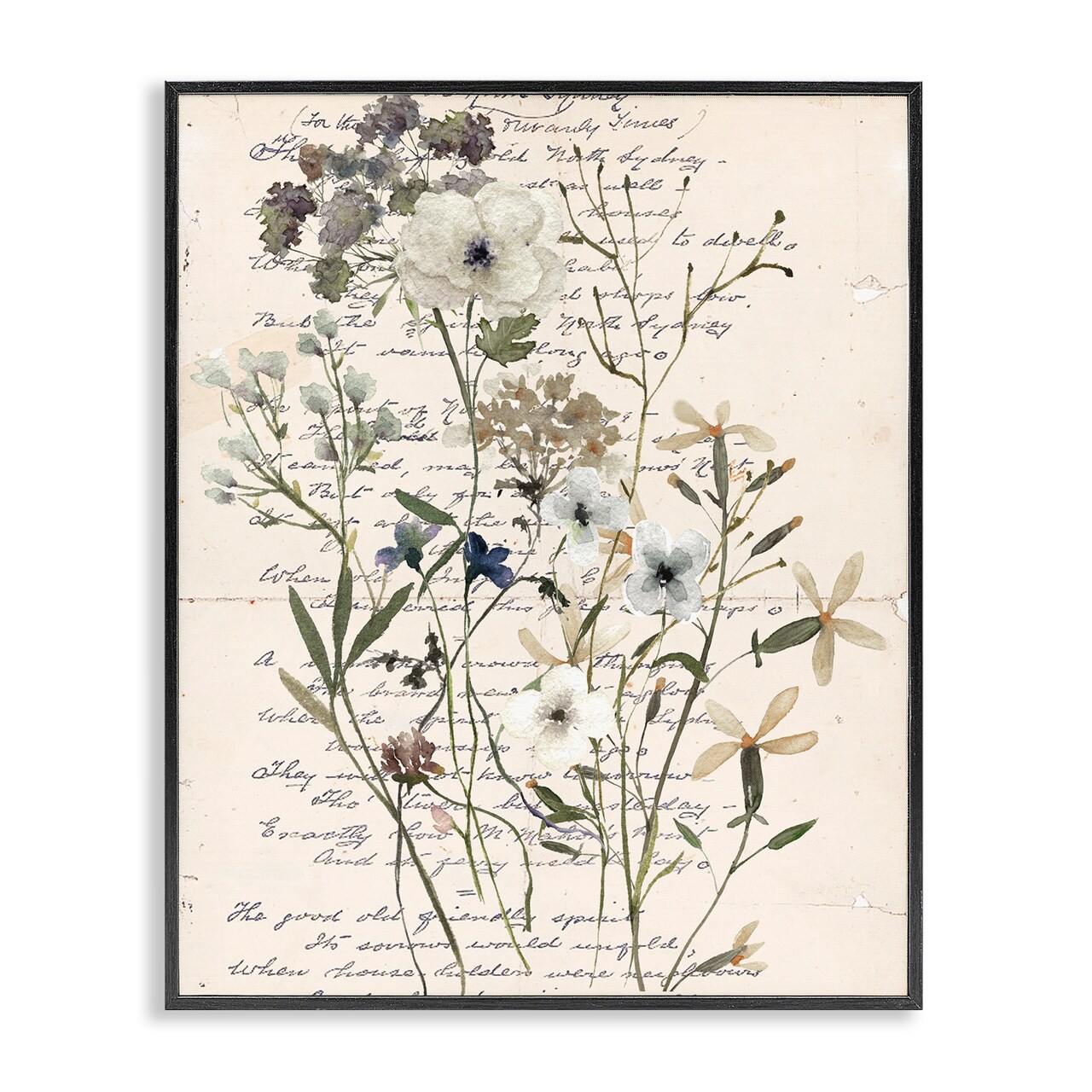 Stupell Industries Vintage Pressed Flowers Framed Giclee Wall Art Design by Carol Robinson